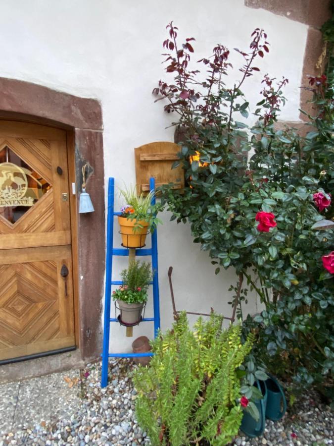 Hotel Le Nid De Cigognes Hengwiller Exterior foto