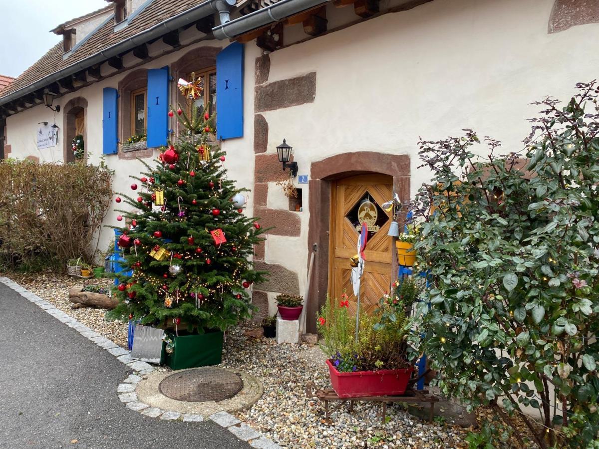 Hotel Le Nid De Cigognes Hengwiller Exterior foto