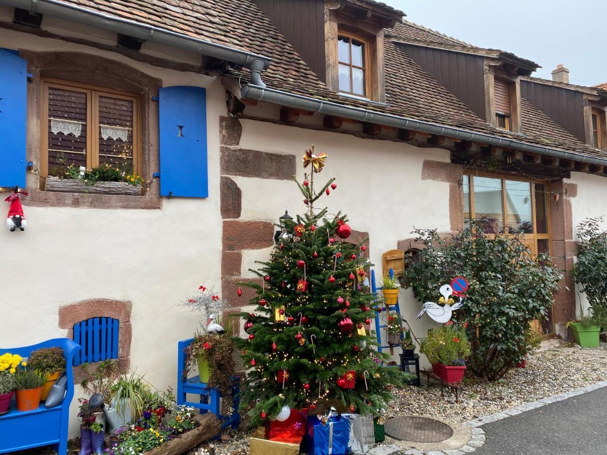 Hotel Le Nid De Cigognes Hengwiller Exterior foto