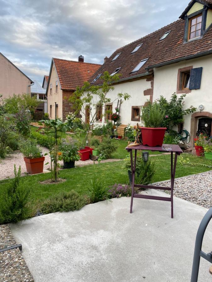 Hotel Le Nid De Cigognes Hengwiller Exterior foto