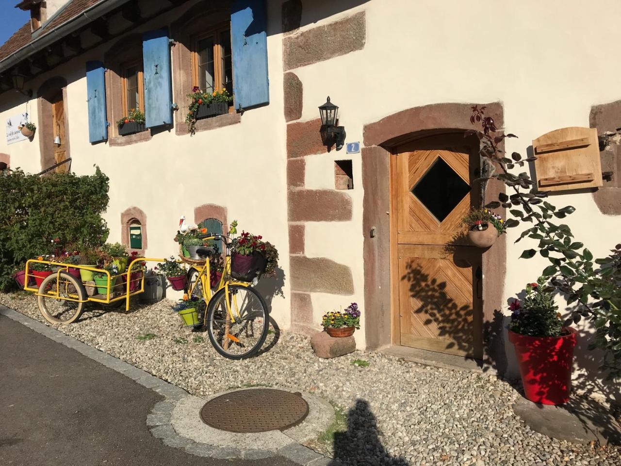 Hotel Le Nid De Cigognes Hengwiller Exterior foto