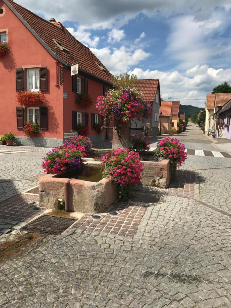 Hotel Le Nid De Cigognes Hengwiller Exterior foto